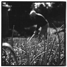 « Jardim perdido » de Frédéric Lecointre