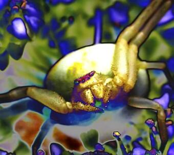 Exposition Photographique