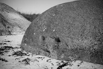 Carte blanche à FIE