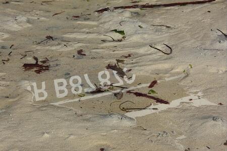 Reflets... et clins d’œil