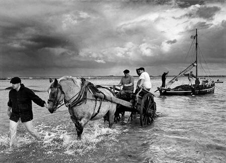 Goémoniers du pays pagan