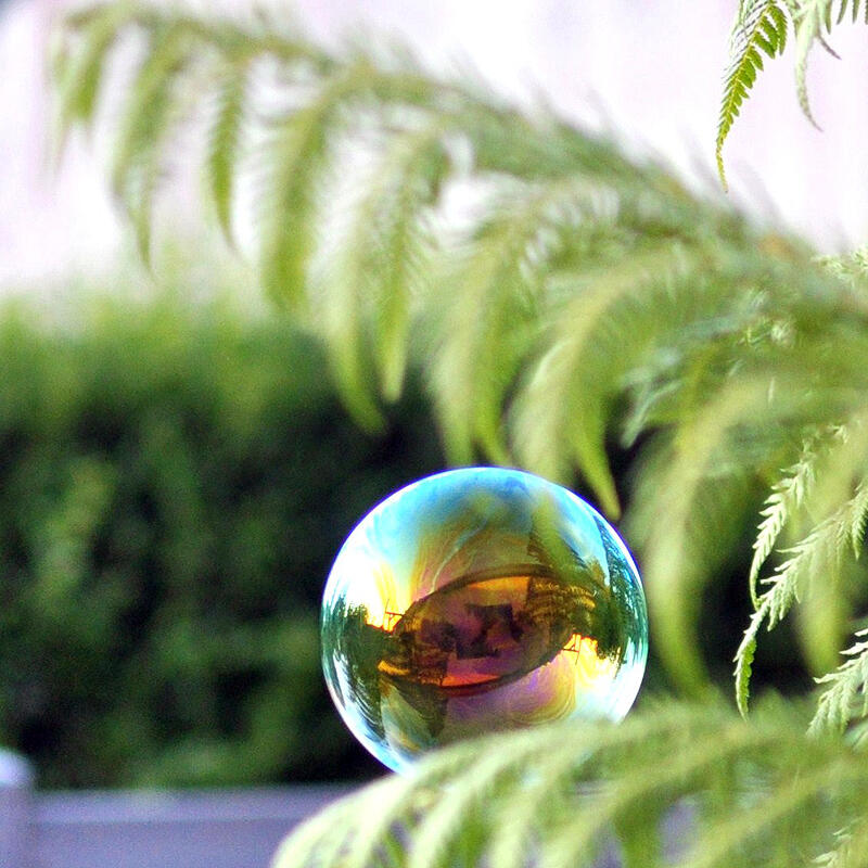 kafe_foto_marycailloux