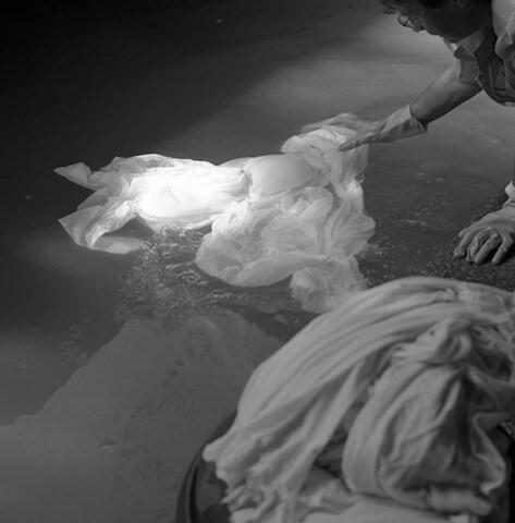 Lavoiravoir_Lecointre_Aubergejeunesse_site