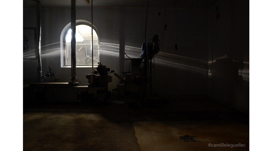 silencio-camilleleguellec3