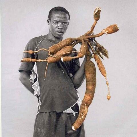 Nha Terra : le fruit du travail - Nedjma Berder