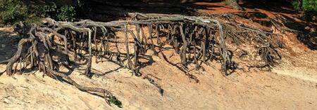 Patro, boulot, photo