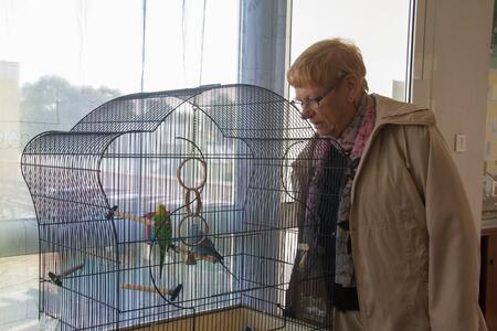 Chacun sa frontière