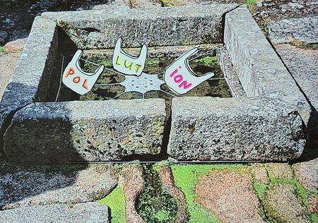 Cerveaux en mutation