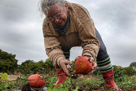 La Terre donne, La mère veille