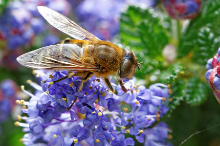 Partageons La Bouffe