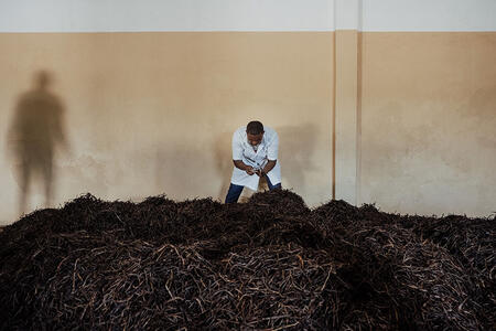 L’or noir de Madagascar