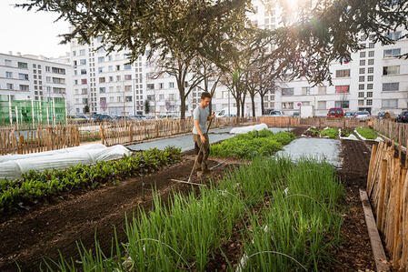 Quand on cultive en ville