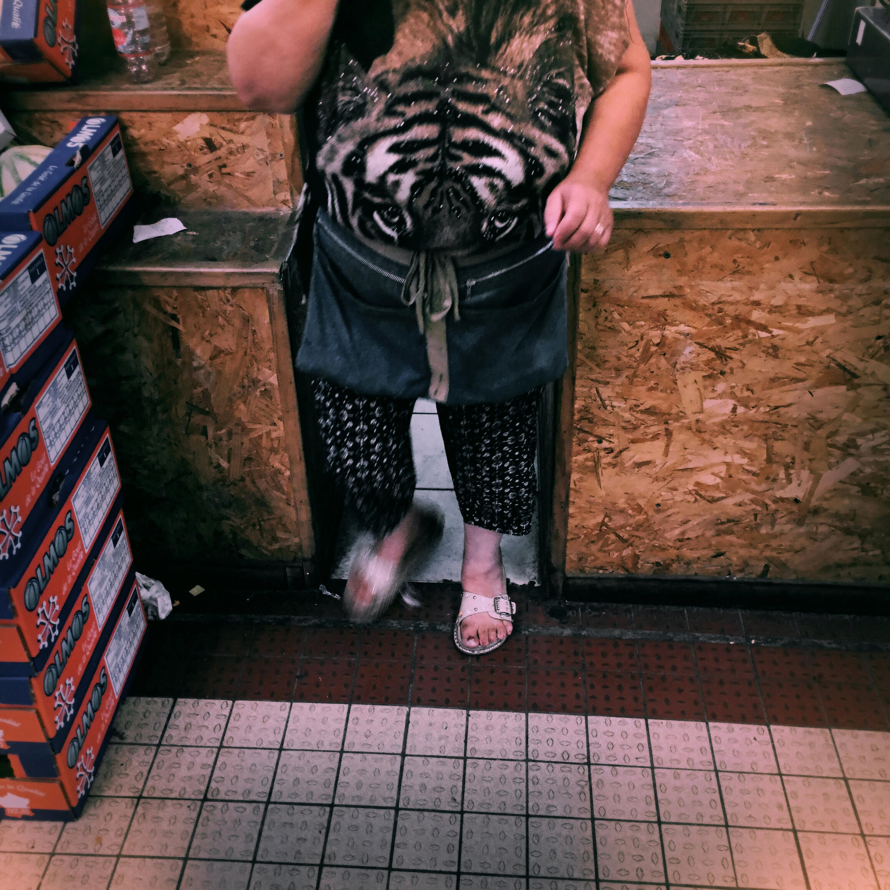 Guillaume RIVIERE La traque 20180814_123349_520OKX