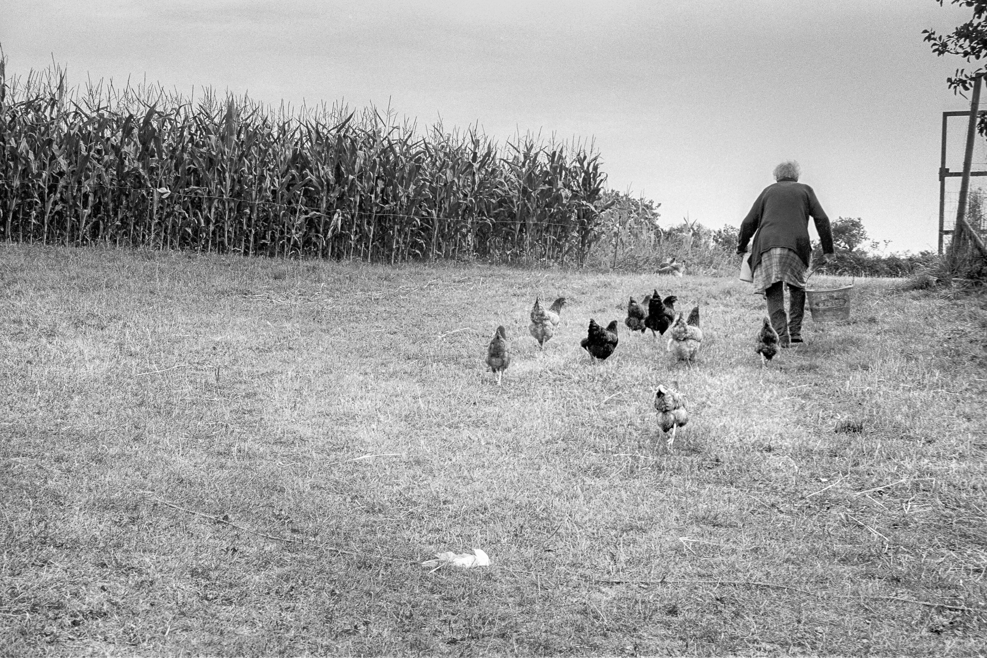 Michèle LE BRAZ 2013-2020-Josephine-84