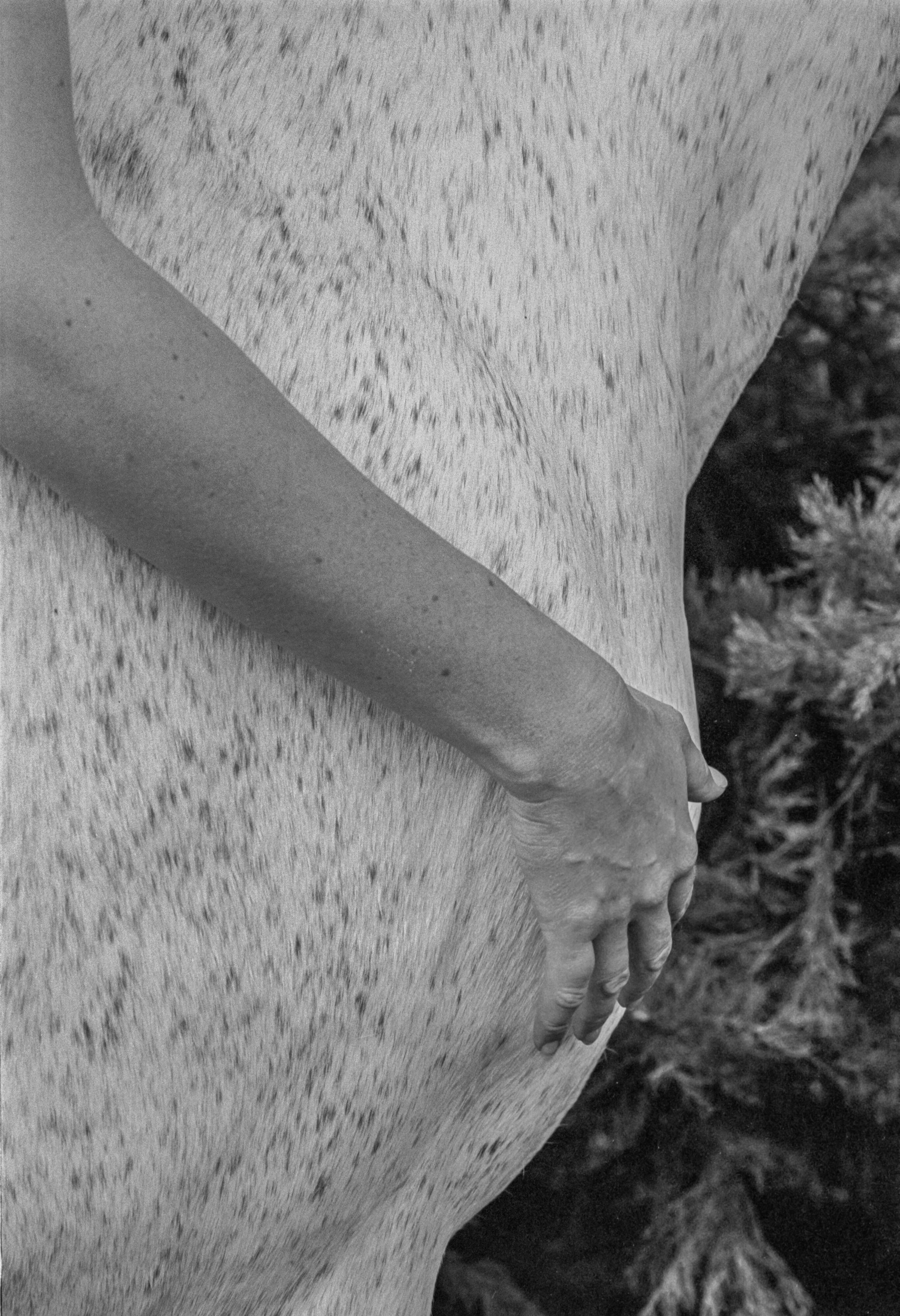 Michèle LE BRAZ La robe abandonnée-18