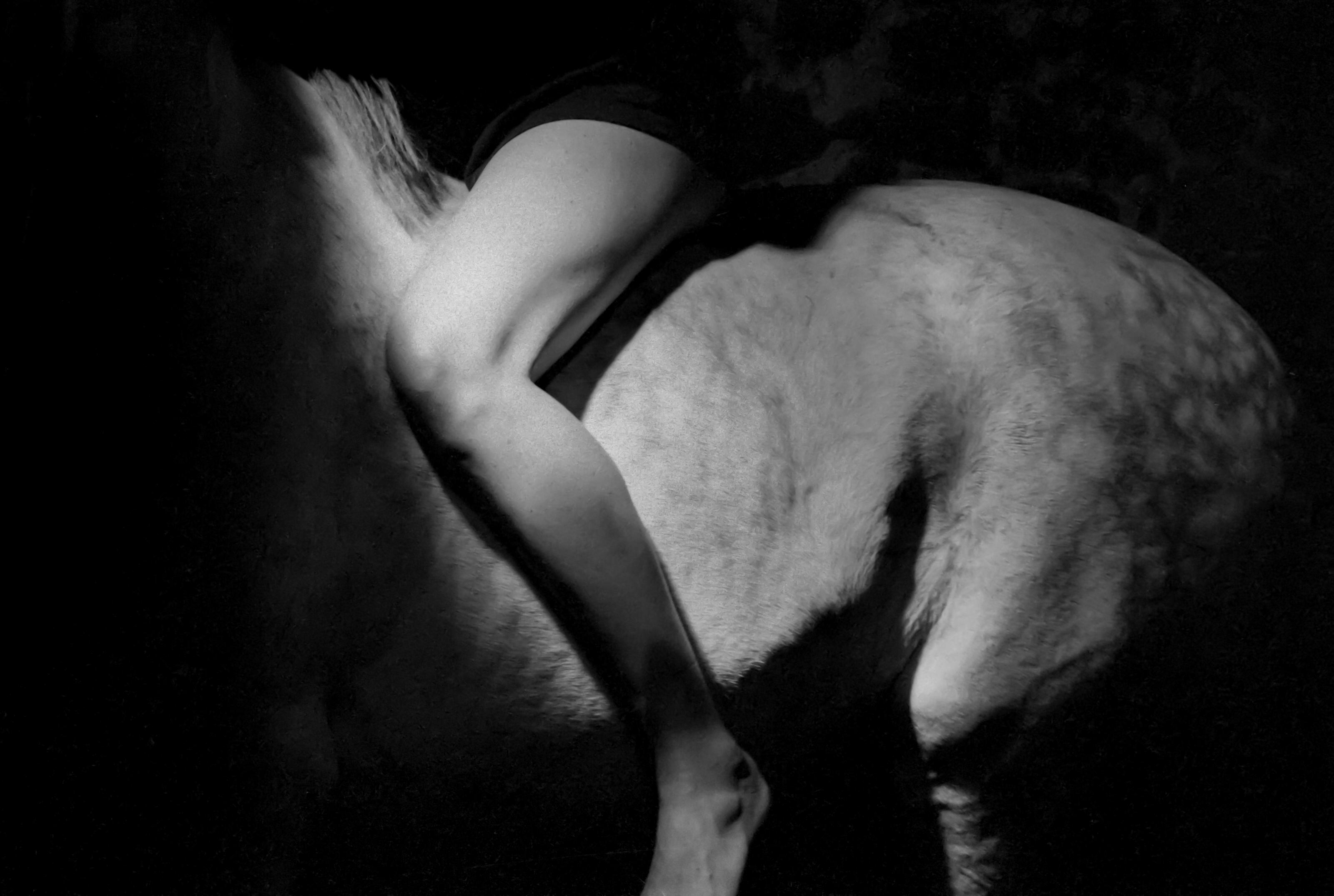 Michèle LE BRAZ La robe abandonnée-femme à cheval